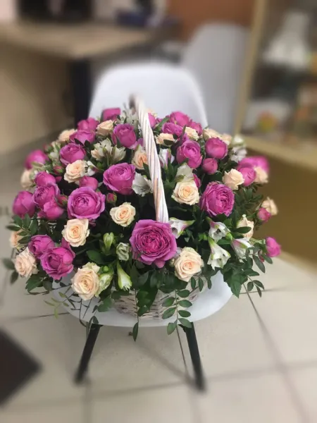 Утренняя свежесть 