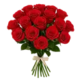 25 роз 25 роз