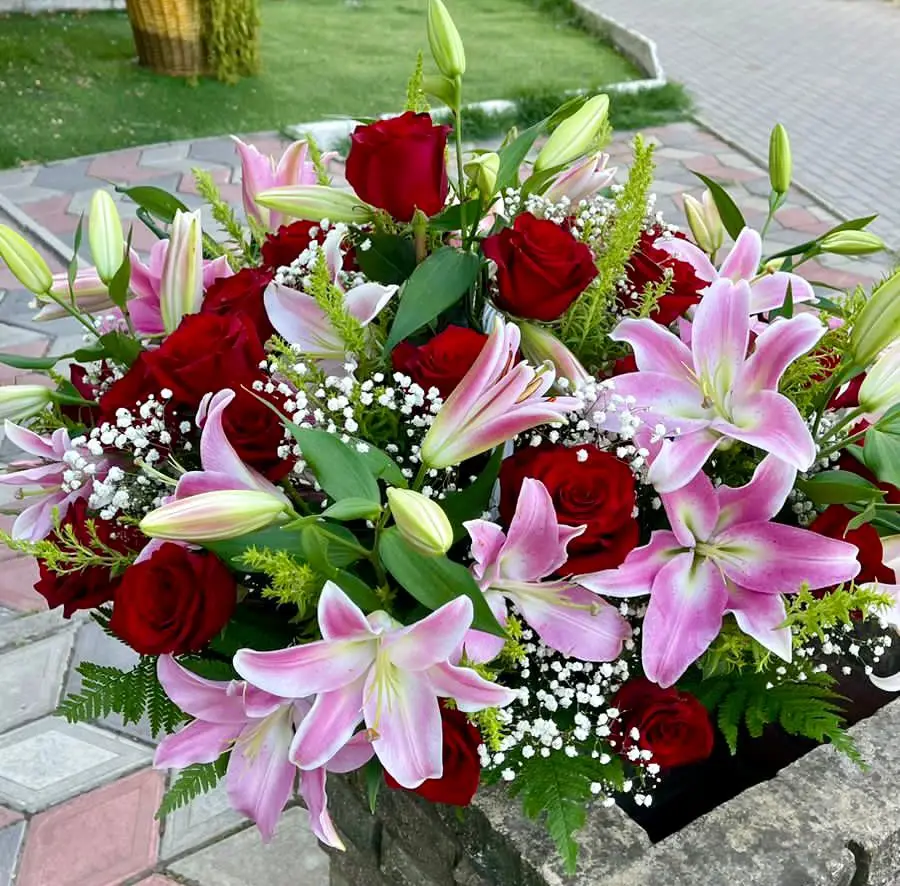 Корзина мечты