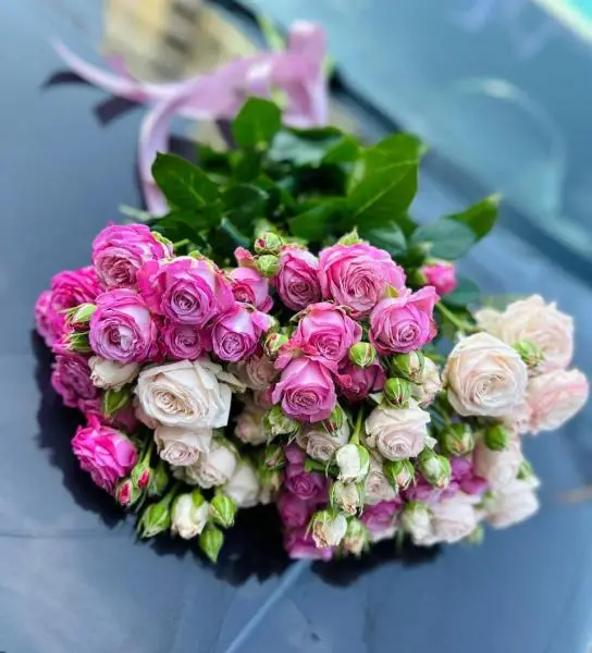 Путешествие к сердцу