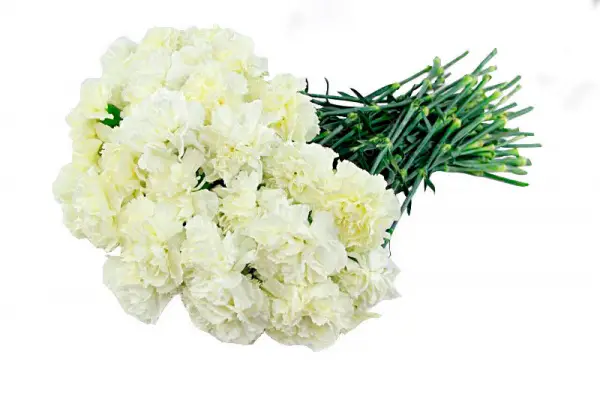 Траурный букет № 6 