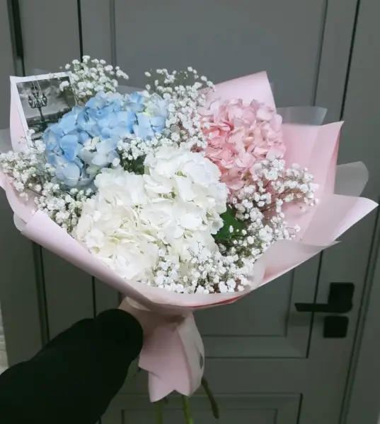 Воплощение мечты