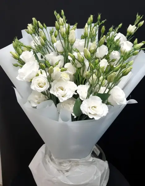 Утренний туман